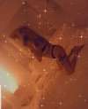 Kayseri eve gelen escort bayan Candan
